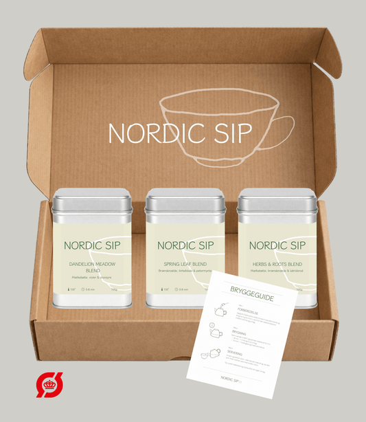 BIG SIP BOX - te abonnement fra Nordic Sip
